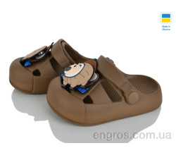 Кроксы Golden Lion